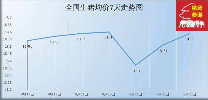 2023年生猪价格走势预测分析_2022至2023年生猪价格预测