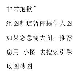 林俊杰足球_林俊杰足球综艺