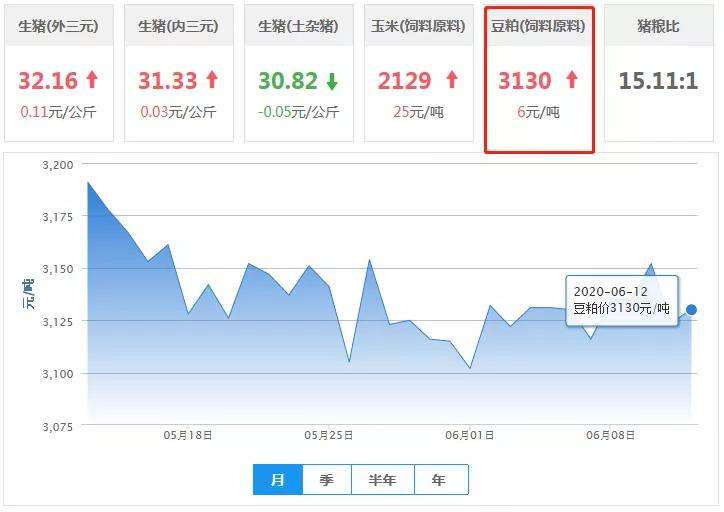 新疆玉米饲料价格走势_新疆玉米价格最新行情预测