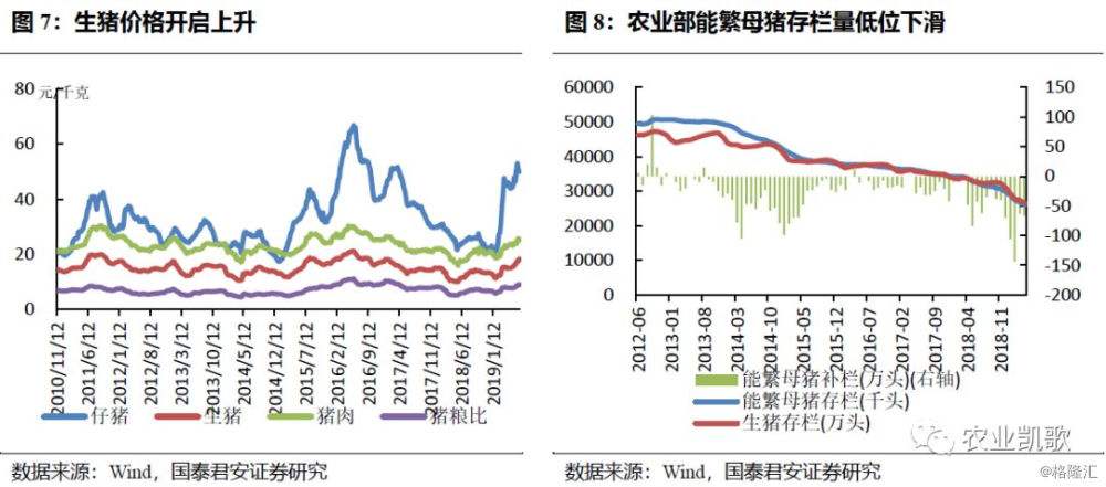 仔猪补栏预示末来猪价走势_今日仔猪价涨跌表今天猪价表