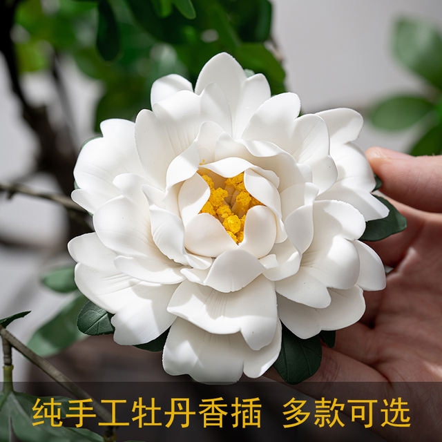 菊莲花牡丹的文学常识_爱莲说中作者写菊花和牡丹的目的是什么