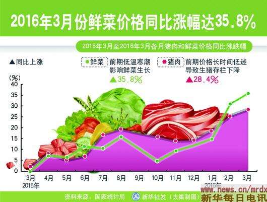 2019一整年大葱价格走势图_2015至2020大葱价格走势图