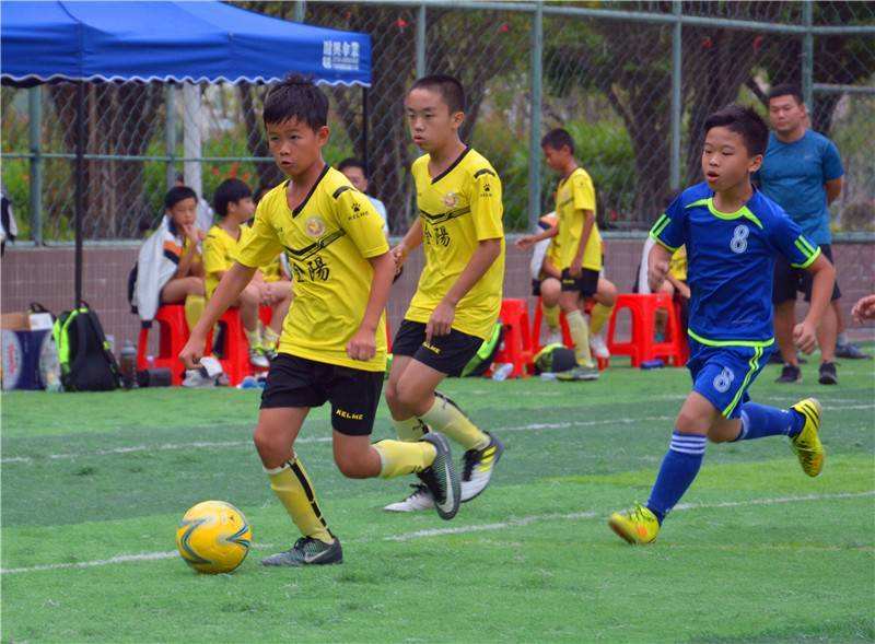 汕头龙湖区足球_汕头市龙湖小学足球队