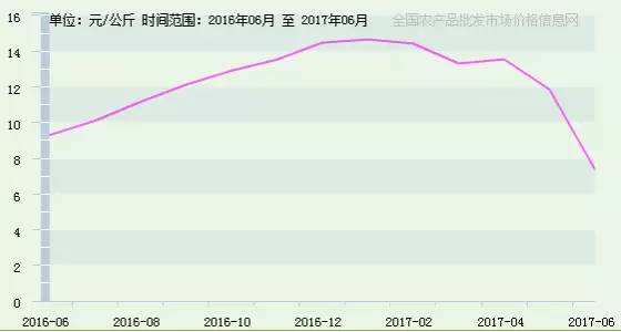 山东金乡大蒜最新价格走势图_山东金乡今天大蒜最新价格行情