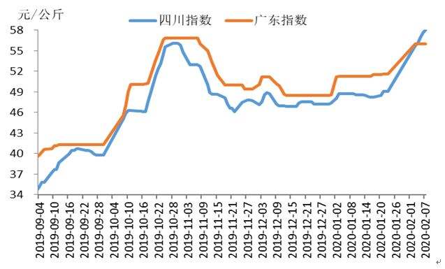 近几年的猪肉的价格走势官方数据的简单介绍