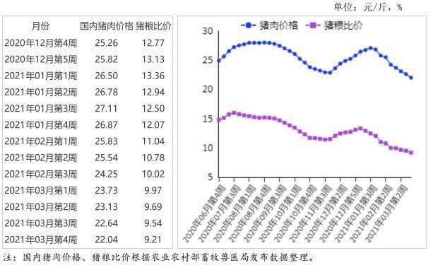 猪肉价格40年历史走势图_20年来猪肉价格的变化走势