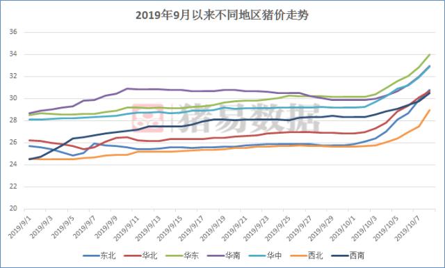 2019猪价11月走势图_11月19日猪价最新走势价格