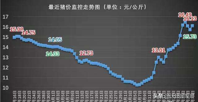 关于2021年8月24日猪价走势图的信息