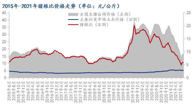 关于2021年8月24日猪价走势图的信息