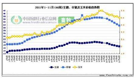 6月7月玉米价格走势_6月1日玉米价格最新行情