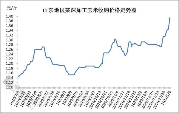 玉米价格历史走势行情_今年玉米价格行情走势分析