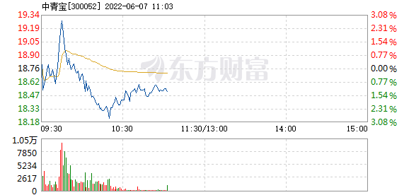 2022年中青宝走势_中青宝2013年最高股价