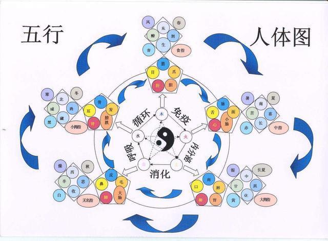 3d最大号五行走势图表_福彩3d最小号码五行走势图