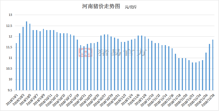 关于河南生猪价格猪价最新走势价格的信息