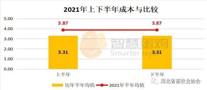 2021笼养下蛋鸡走势_2021年蛋鸡存栏最新数据