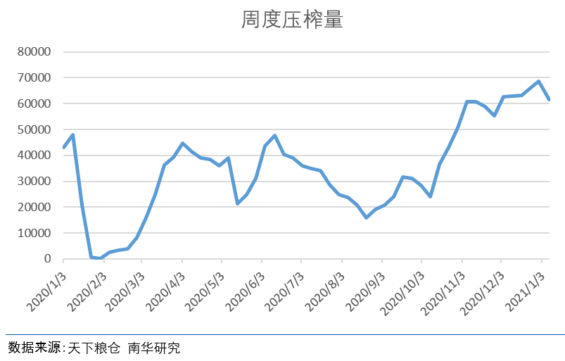 2015年花生价格走势_2012年花生价格走势图