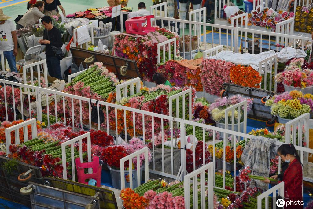 2020年花卉销售情况走势_2020年花卉市场前景怎么样