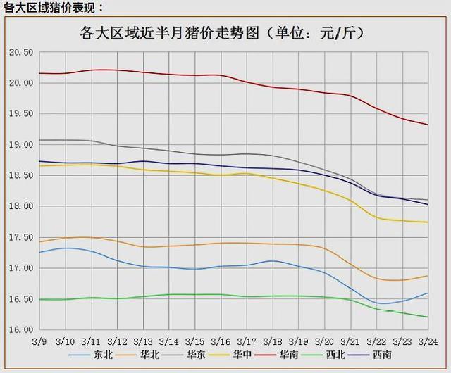 2月1日猪价格走势如何_今日猪价2月22最新走势价格