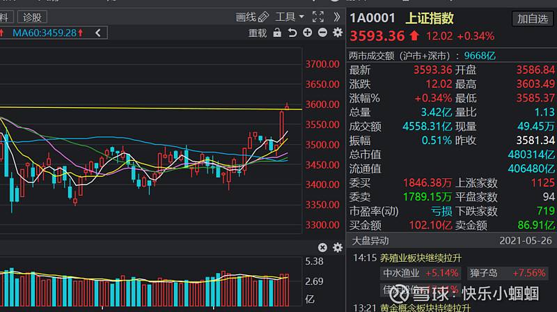 大盘走势图20210828_大盘走势图黄白两个线代表什么