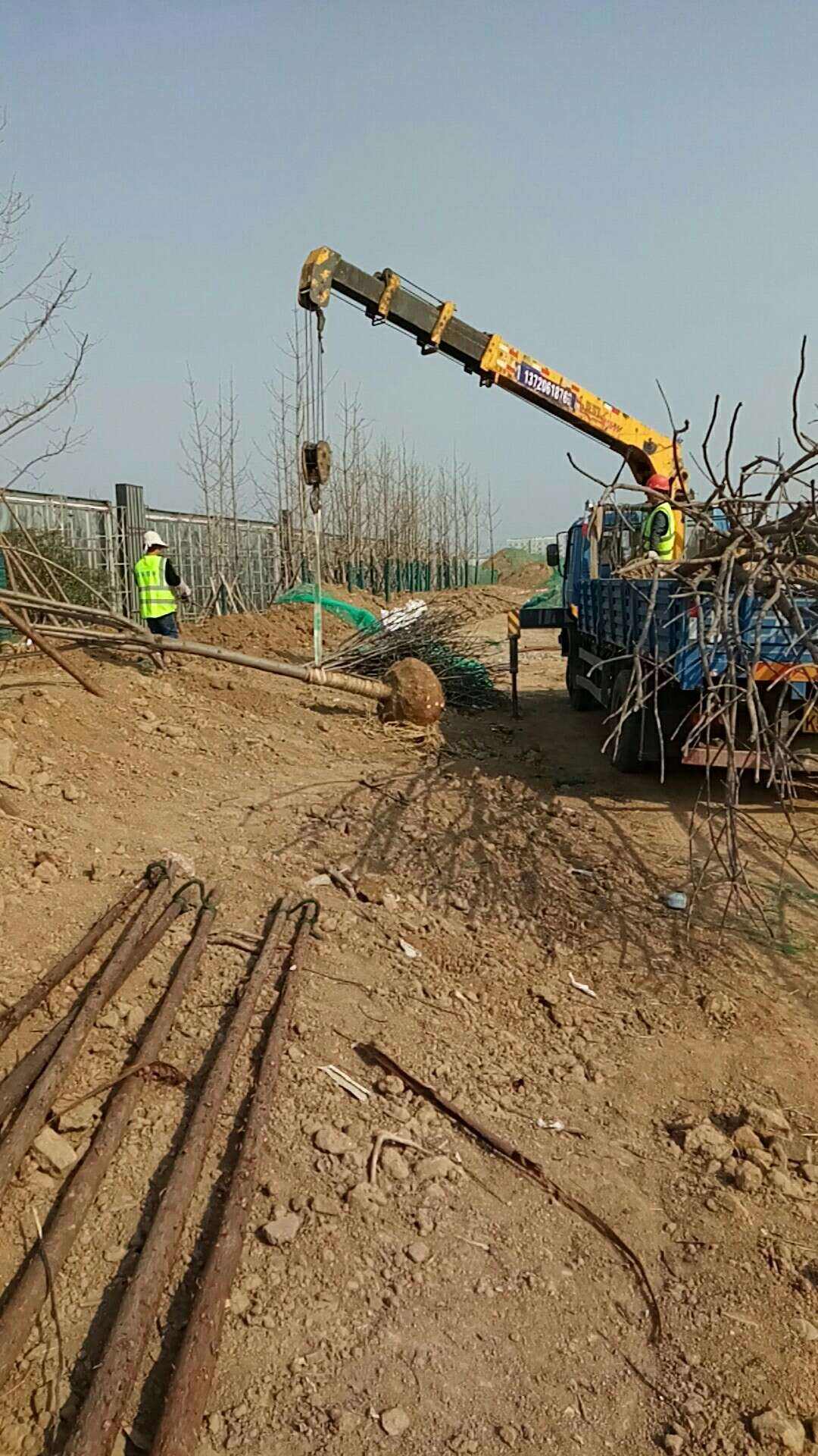 关于梁溪区常规绿化种植价格走势的信息