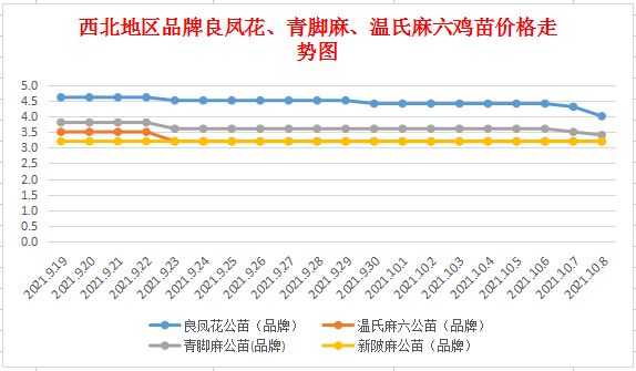 关于今日麻鸡价格行情走势预测的信息