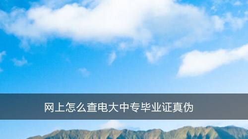 关于证书从哪一年开始能查真伪了的信息