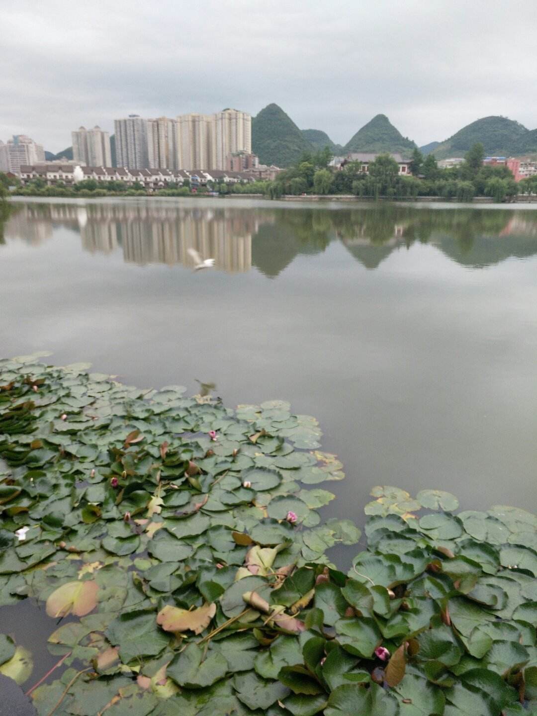 关于六盘水钟山区房价走势太高了的信息