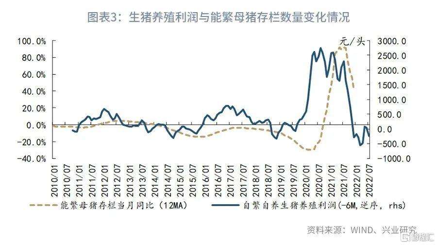 包含2023年4月猪价预测走势图的词条