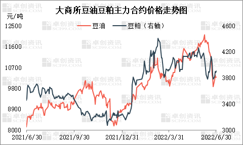 关于2021年7月份棕榈油价格走势的信息