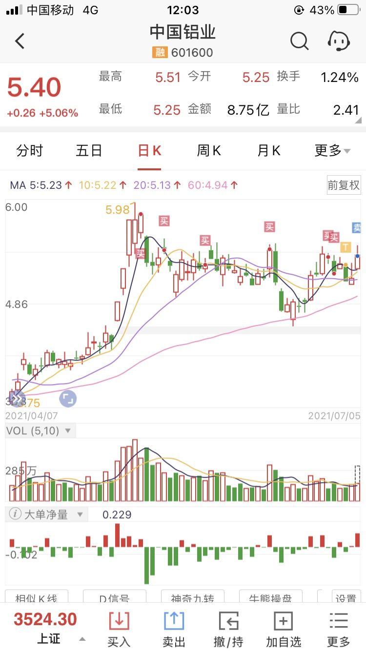 601600中国铝业走势_601600中国铝业最新消息上证指数