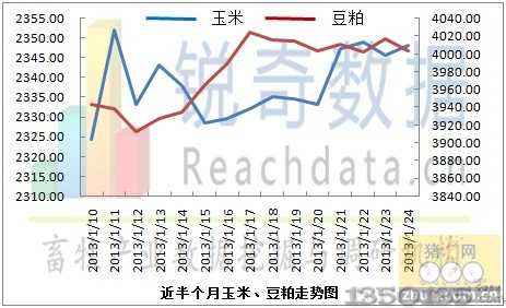 今日玉米价格走势最新行情_玉米价格 今日最新行情走势