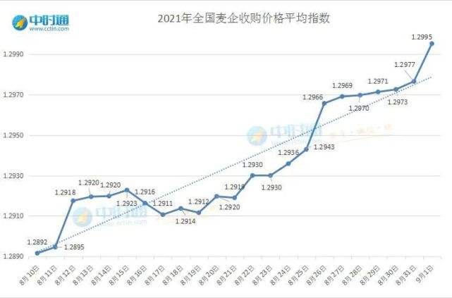 小麦后期价格行情走势_小麦行情分析及价格走势