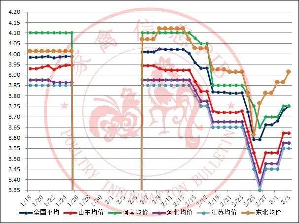 2022肉鸡价格走势_专家预测2022年肉鸡行情