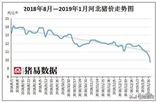 2019年8月猪价走势的简单介绍