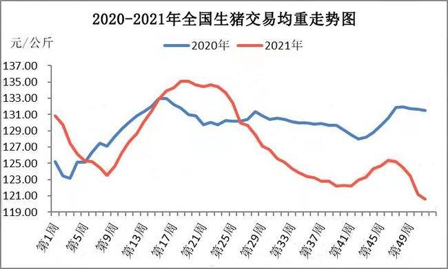 包含2017年猪价走势专家预测的词条