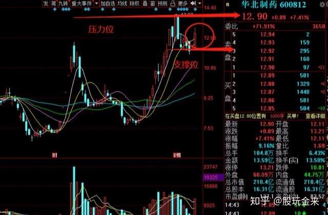 最近十天华北制药走势图_华北制药今天的股价是多少