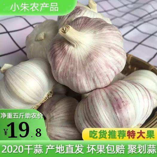 2021年蒜片价格走势_2021年大蒜价格走势图