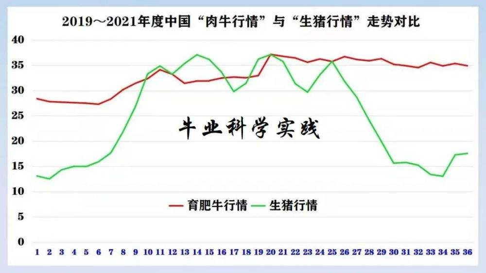 2022年中旬牛肉价格走势_2020年下半年牛肉价格走势预测