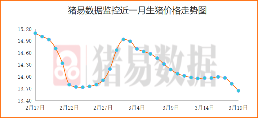 近三月内猪牛鸡价格走势_牛价格今日猪价格全国走势