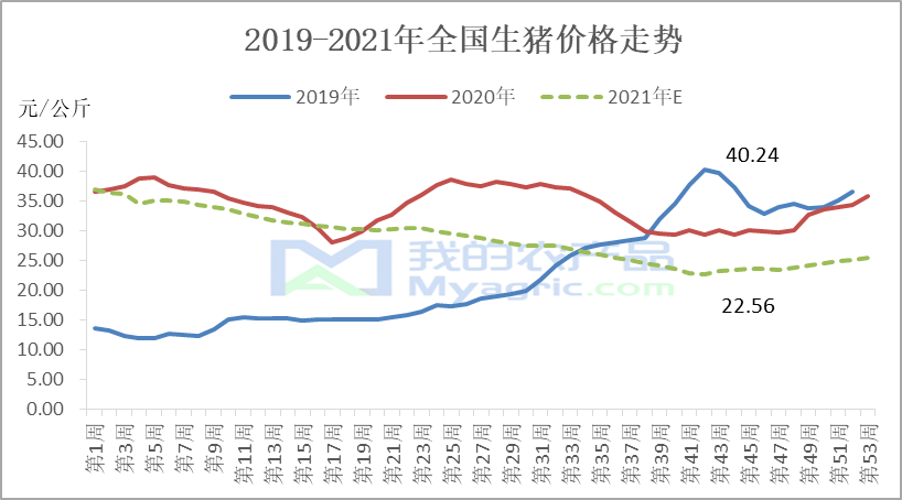 未来五年生猪价格走势_未来5年猪价格走势预测