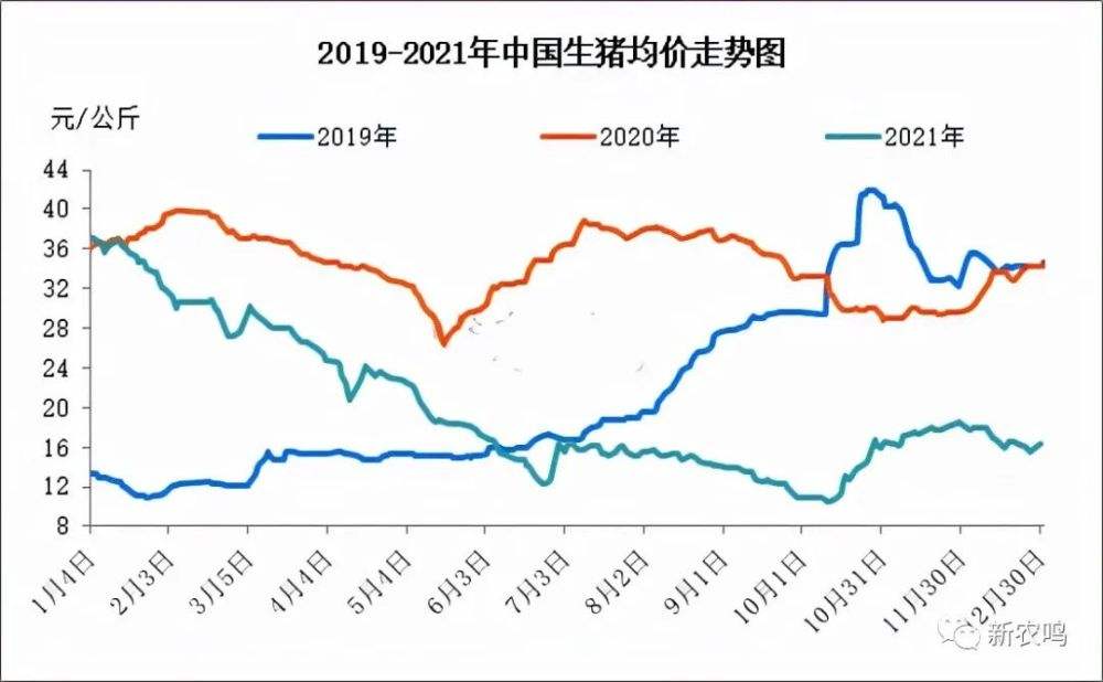 未来十年生猪价格走势_最近十年生猪价格走势图