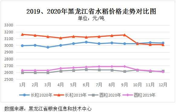 今年最新水稻价格走势_全国水稻价格最新行情走势