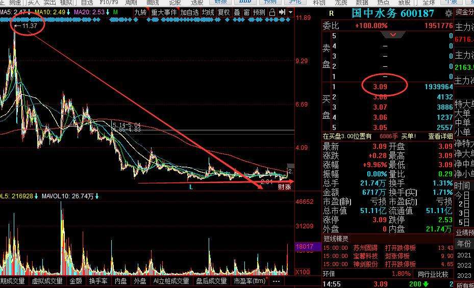 包含一字涨停板开板后回调走势的词条