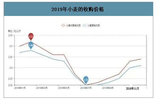 2020小麦价格走势山东_2020年山东小麦价格最新行情