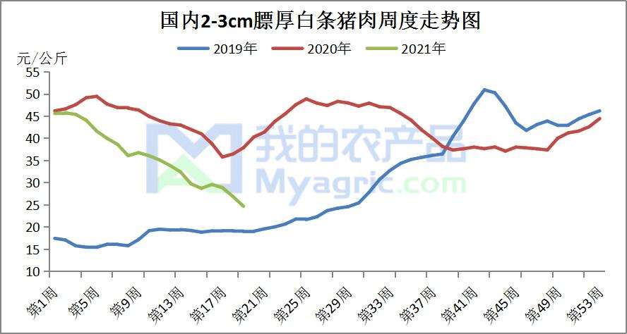 2021贵州猪肉价格的走势_贵州猪价2021年最新行情预测