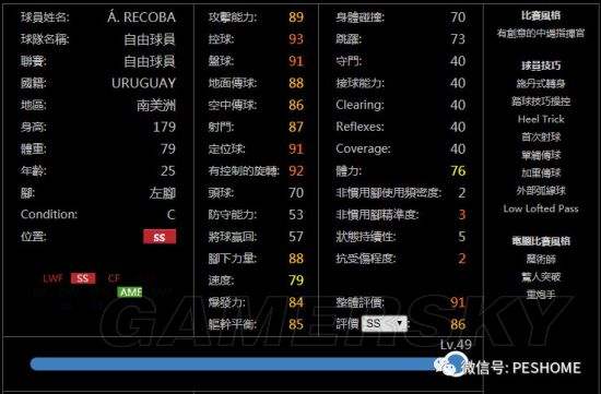 实况足球多少钱_电脑版实况足球多少钱