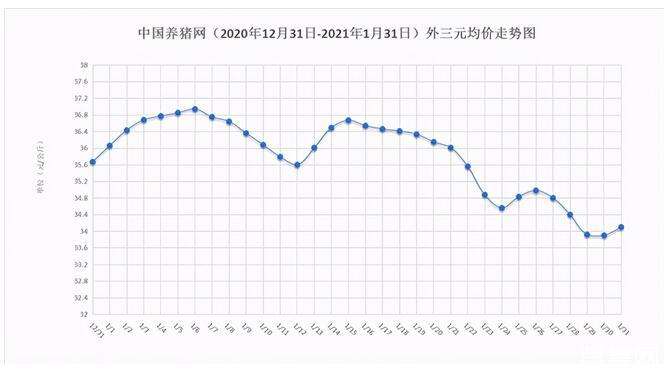 2021年11月生猪行情走势_2021年10月份生猪价格走势