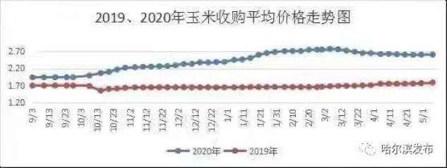 今日水稻收购最新价格走势图_水稻收购价格表