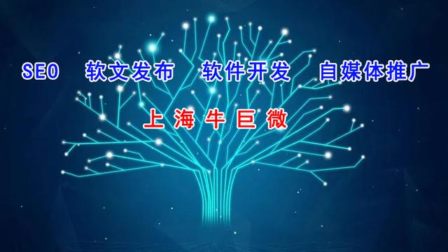 上海专业软件开发价格走势_软件开发行情