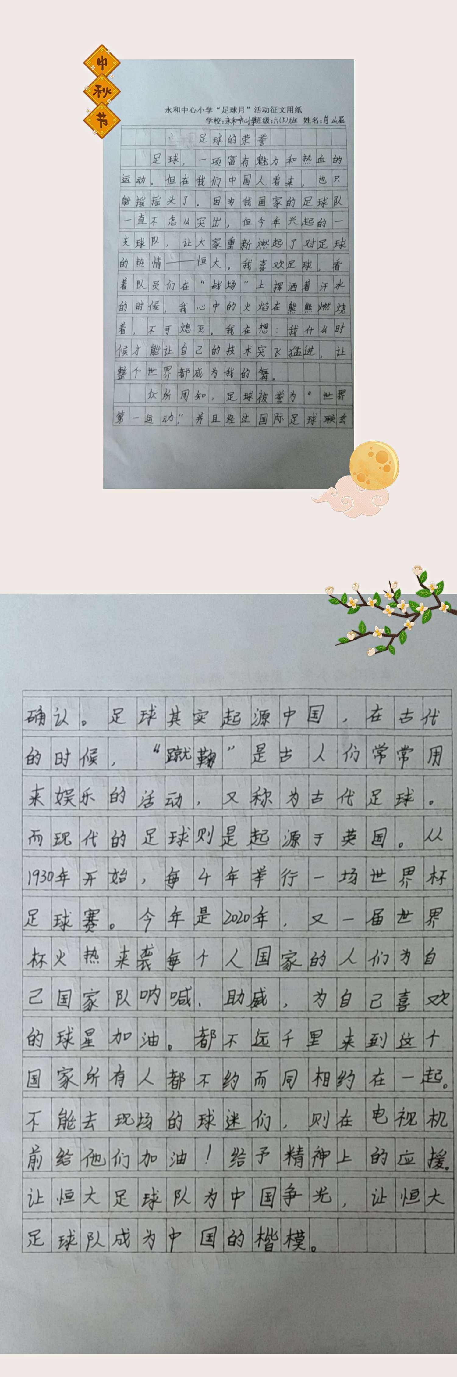 小学生足球征文_小学生足球征文500字